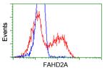 FAHD2A Antibody in Flow Cytometry (Flow)