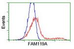 FAM119A Antibody in Flow Cytometry (Flow)