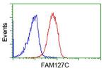 FAM127C Antibody in Flow Cytometry (Flow)