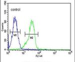 FAM155A Antibody in Flow Cytometry (Flow)