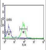 FAM44B Antibody in Flow Cytometry (Flow)