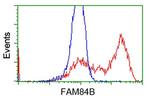 FAM84B Antibody in Flow Cytometry (Flow)