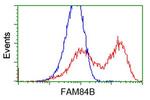 FAM84B Antibody in Flow Cytometry (Flow)