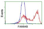 FAM84B Antibody in Flow Cytometry (Flow)