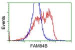 FAM84B Antibody in Flow Cytometry (Flow)