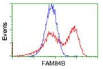 FAM84B Antibody in Flow Cytometry (Flow)