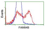 FAM84B Antibody in Flow Cytometry (Flow)