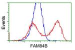 FAM84B Antibody in Flow Cytometry (Flow)