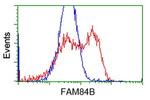 FAM84B Antibody in Flow Cytometry (Flow)