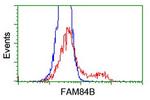 FAM84B Antibody in Flow Cytometry (Flow)