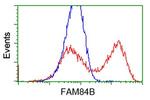 FAM84B Antibody in Flow Cytometry (Flow)