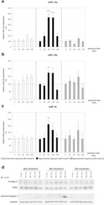 FAS Monoclonal Antibody (5F7)