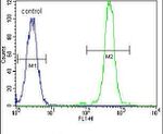 FASN Antibody in Flow Cytometry (Flow)