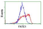 FATE1 Antibody in Flow Cytometry (Flow)