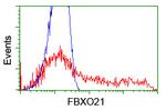 FBXO21 Antibody in Flow Cytometry (Flow)