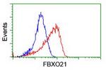 FBXO21 Antibody in Flow Cytometry (Flow)
