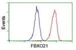 FBXO21 Antibody in Flow Cytometry (Flow)
