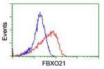 FBXO21 Antibody in Flow Cytometry (Flow)