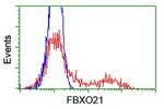 FBXO21 Antibody in Flow Cytometry (Flow)