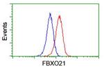 FBXO21 Antibody in Flow Cytometry (Flow)