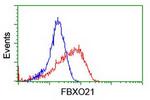 FBXO21 Antibody in Flow Cytometry (Flow)