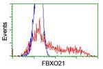 FBXO21 Antibody in Flow Cytometry (Flow)