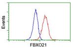 FBXO21 Antibody in Flow Cytometry (Flow)
