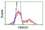 FBXO21 Antibody in Flow Cytometry (Flow)