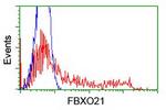 FBXO21 Antibody in Flow Cytometry (Flow)