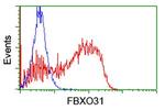 FBXO31 Antibody in Flow Cytometry (Flow)