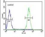 FBXW12 Antibody in Flow Cytometry (Flow)