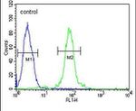 FBXW8 Antibody in Flow Cytometry (Flow)