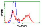 FCGR2A Antibody in Flow Cytometry (Flow)