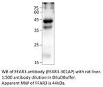 FFAR3 Polyclonal Antibody