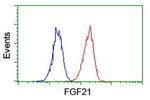 FGF21 Antibody in Flow Cytometry (Flow)