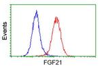 FGF21 Antibody in Flow Cytometry (Flow)