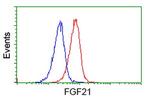 FGF21 Antibody in Flow Cytometry (Flow)