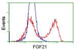 FGF21 Antibody in Flow Cytometry (Flow)