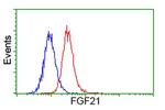 FGF21 Antibody in Flow Cytometry (Flow)