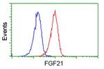 FGF21 Antibody in Flow Cytometry (Flow)