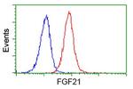 FGF21 Antibody in Flow Cytometry (Flow)