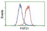 FGF21 Antibody in Flow Cytometry (Flow)