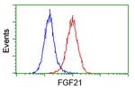 FGF21 Antibody in Flow Cytometry (Flow)