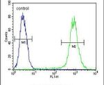 FGF9 Antibody in Flow Cytometry (Flow)