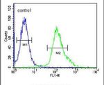 FGFBP3 Antibody in Flow Cytometry (Flow)