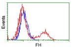 FH Antibody in Flow Cytometry (Flow)