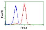 FHL1 Antibody in Flow Cytometry (Flow)