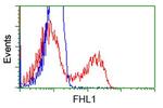 FHL1 Antibody in Flow Cytometry (Flow)