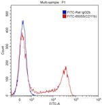 CD11b Antibody in Flow Cytometry (Flow)