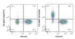 CD16/32 Antibody in Flow Cytometry (Flow)
